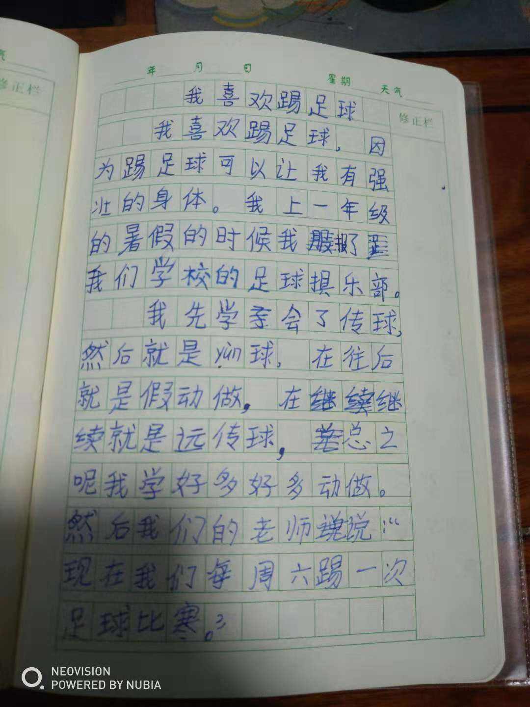 小学生足球征文_小学生足球征文500字