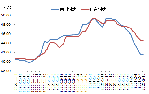 全国今日生猪价格走势_全国今日生猪价格走势分析