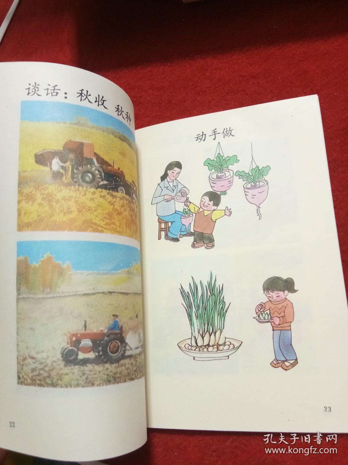 80后幼儿班常识课本_九零后学前班课本