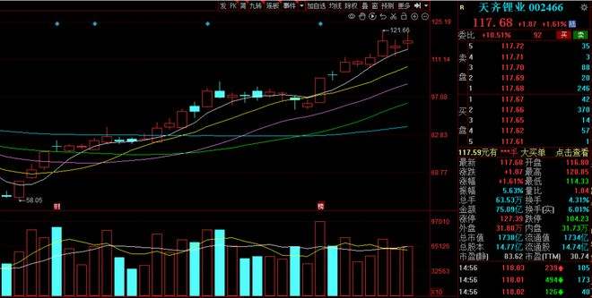 002466近30日行情走势_002466每日行情
