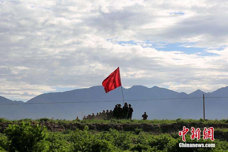 新浪漫体彩福彩走势图_新浪福彩综合走势图