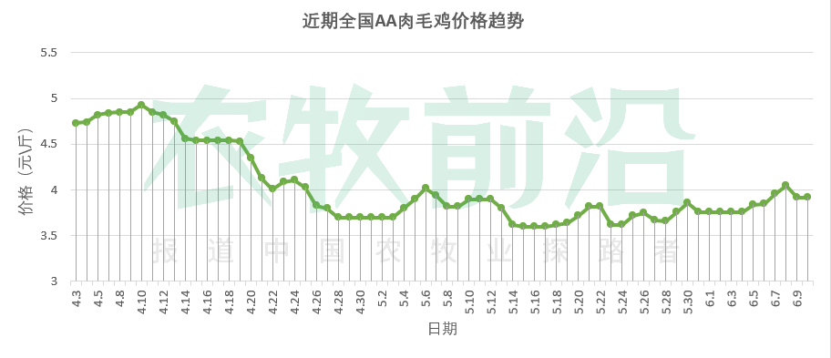 白羽鸡鸡苗价格走势_今日肉鸡苗最新价格