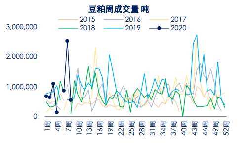 豆粕现货走势在哪里看_豆粕现货行情