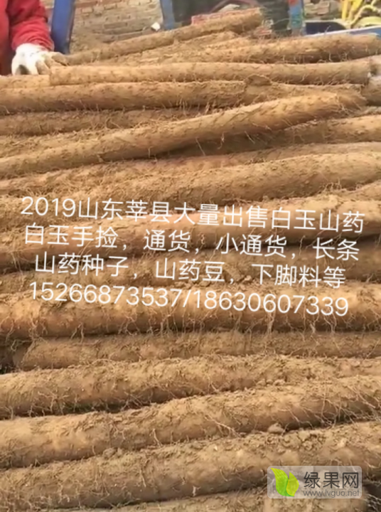 2019年山药价格走势_2019年山药价格走势图