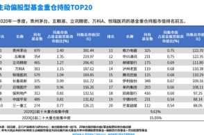 广发国政半导体基金走势_广发国证半导体芯片etf