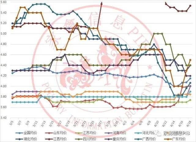 19年鸭苗价格走势图_今日最新鸭苗行情报价