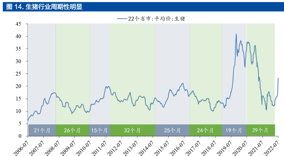 19年鸭苗价格走势图_今日最新鸭苗行情报价