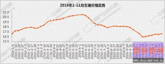 2017年毛猪的价格走势_毛猪价格走势图