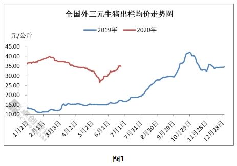 2020年底生猪价格走势_2020年全年生猪价格走势