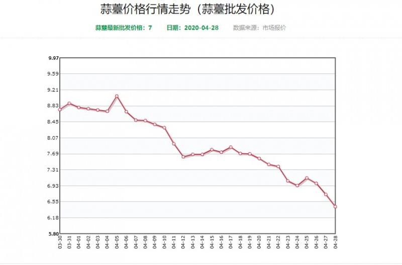 专家分析大蒜行情走势_了解大蒜行情