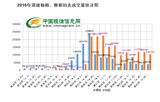 2016年水稻走势价格_2016年水稻走势价格表