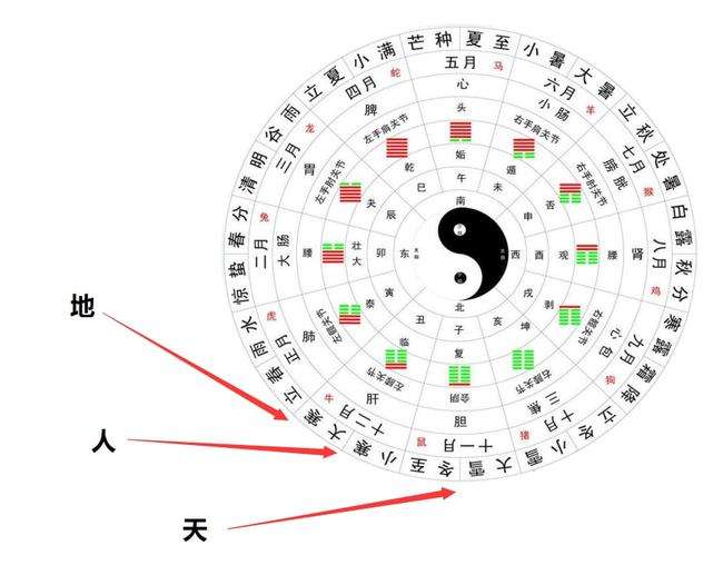 壬寅年的五运六气新冠走势_癸卯年今年的运气