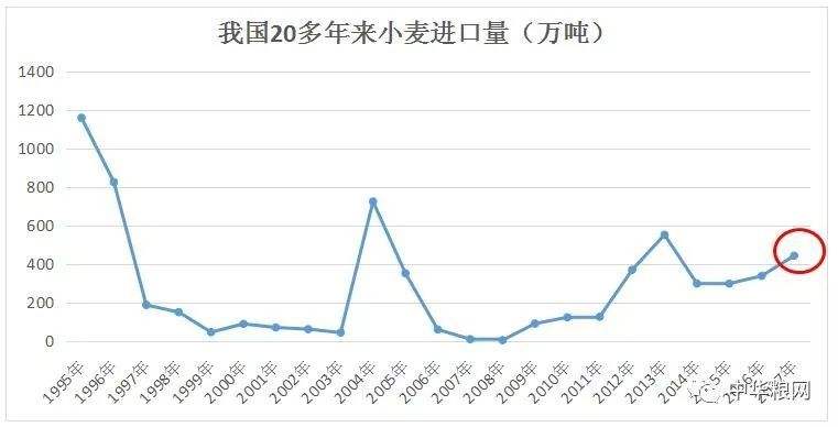 明年小麦价格走势如何_当前小麦价格趋势如何