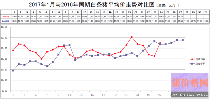 2017生猪价格行情走势_2017生猪价格行情走势表