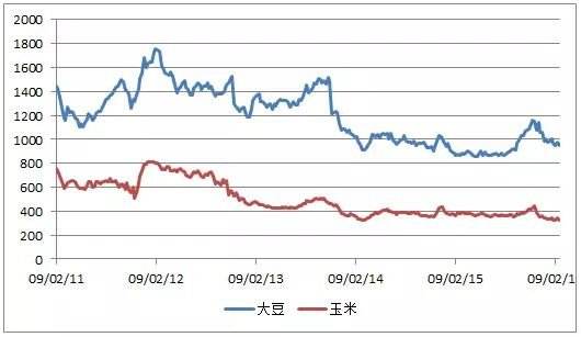 湖北大豆今天行情走势_湖北大豆价格最新行情