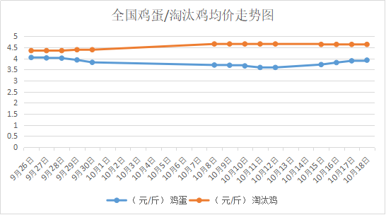 淘汰鸡价格行情走势预测_淘汰鸡行情分析