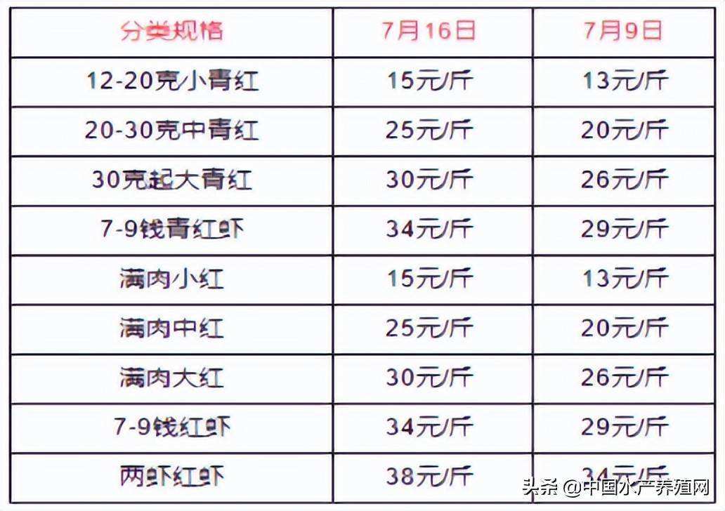 牛蛙塘口收购价格历年来走势_牛蛙收购价格表