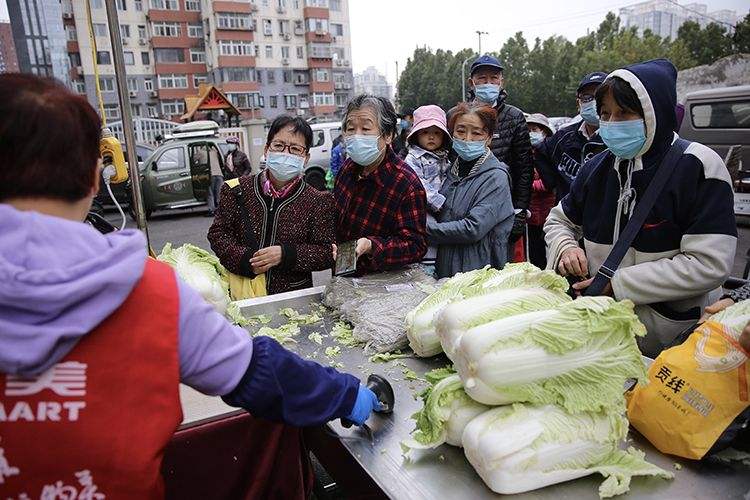 预测一下今年冬天大白菜价格走势_白菜未来价格行情预测