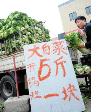 预测一下今年冬天大白菜价格走势_白菜未来价格行情预测