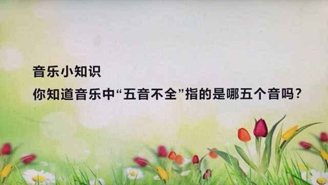 类似于生活小常识的音乐_适合日常的音乐