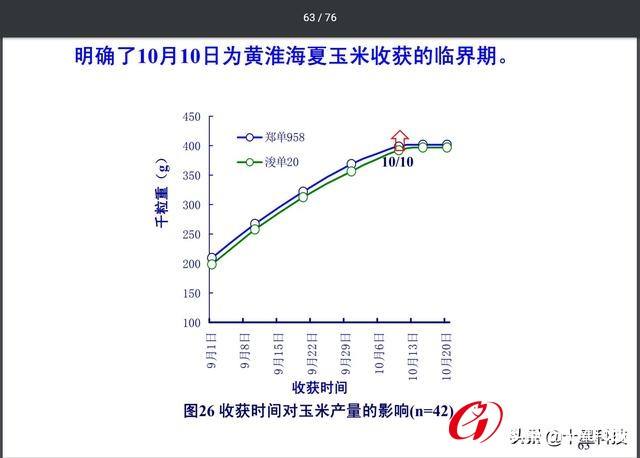 衡水玉米最新价格走势_河北衡水最新玉米价格