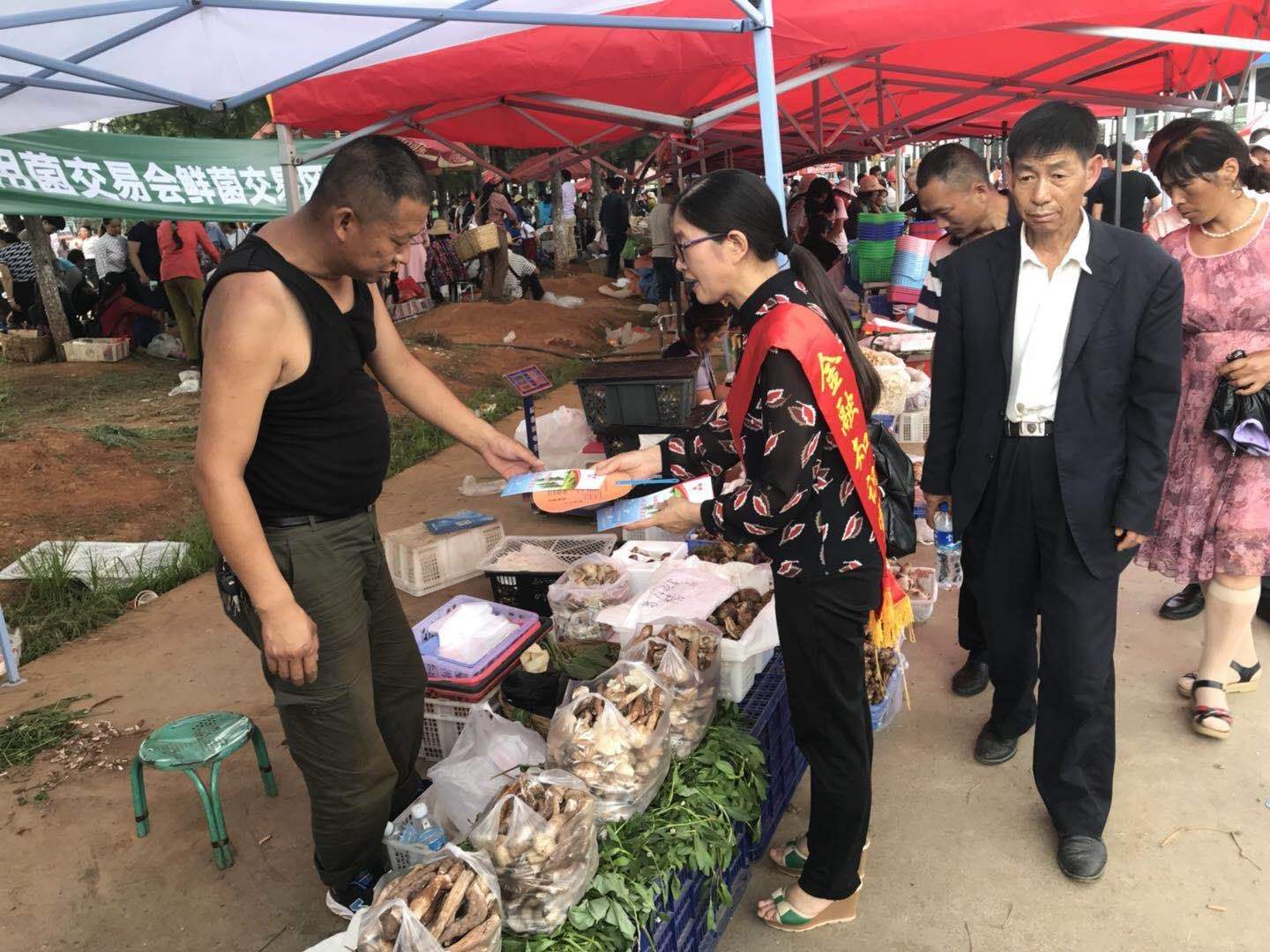 易门高价食用菌价格走势_易门哪家野生菌生意最好