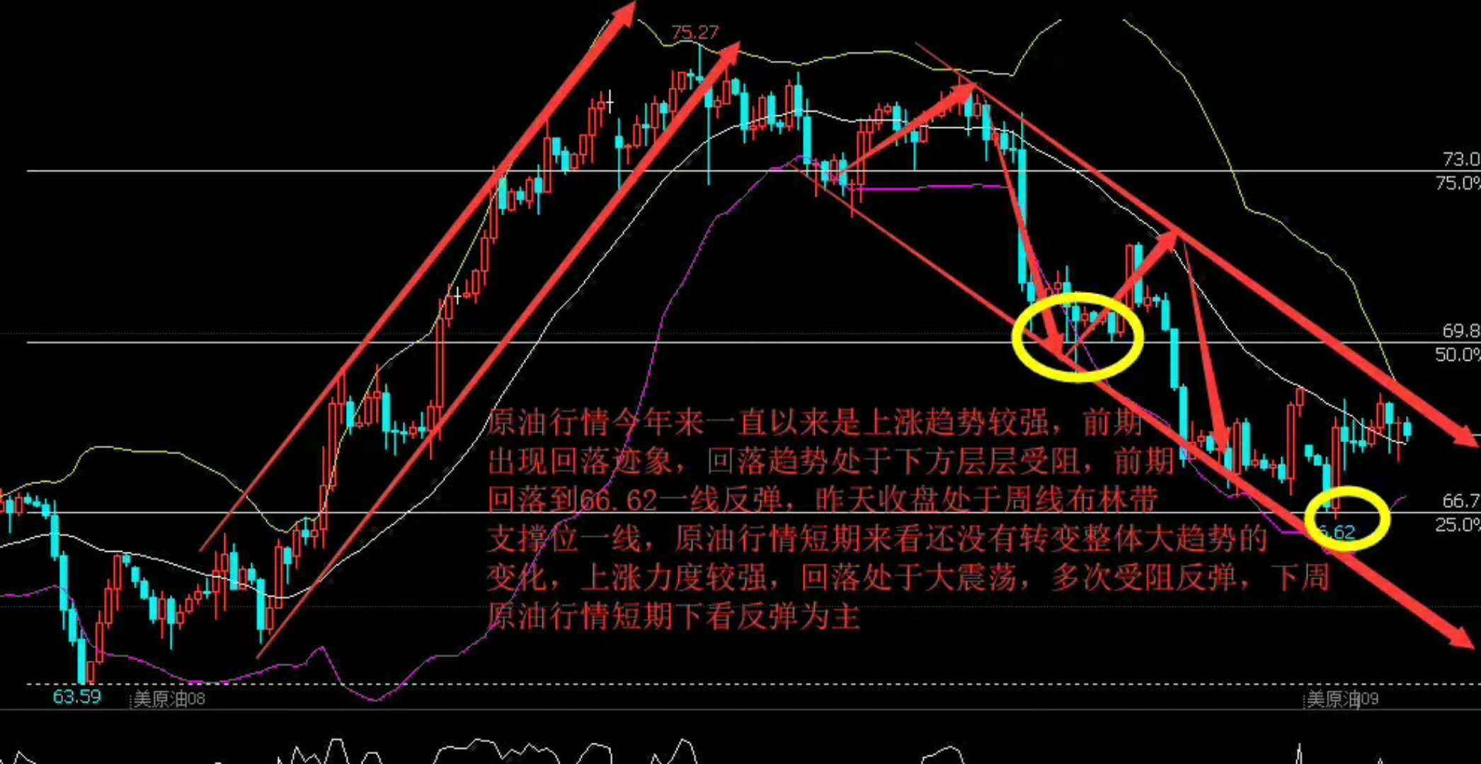 诺亚方舟指数下周走势_诺亚方舟日期