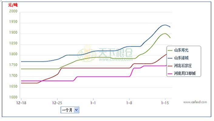 17年山东玉米价格走势_山东玉米价格最新行情预测