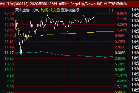 蒙泰高新未来走势分析_蒙泰高新未来走势分析预测