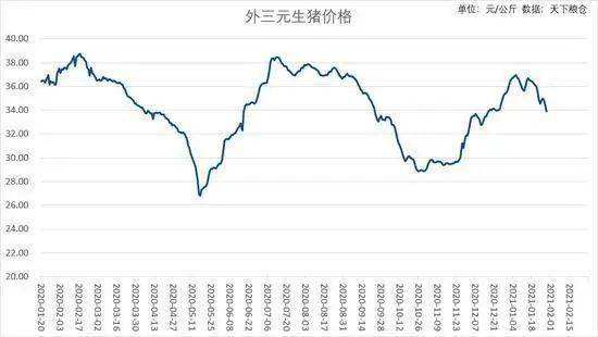 2020年国庆之后猪价走势_2020年猪价行情走势