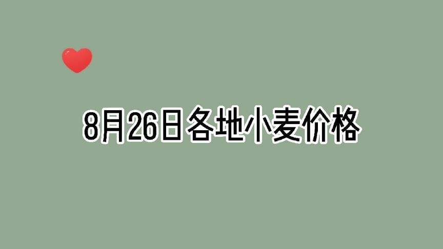 河北省保定小麦价格走势_保定地区小麦价格