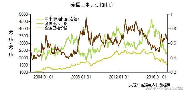 未来3个月玉米走势图_2021年三月份玉米行情预测