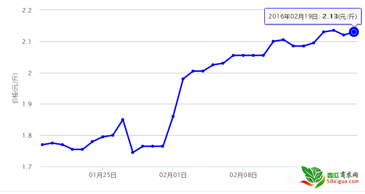 2016西瓜行情走势_今年西瓜价格走势图