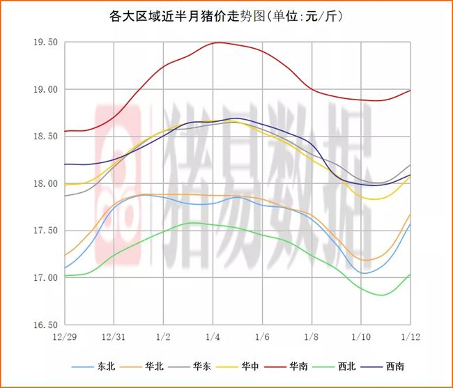 2017年猪价走势图全年_2018年猪价走势图