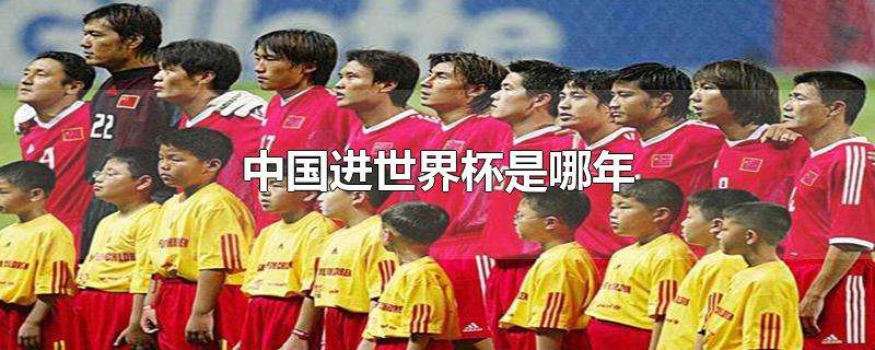 世界杯2002中国足球队成员_中国足球2002世界杯球员名单