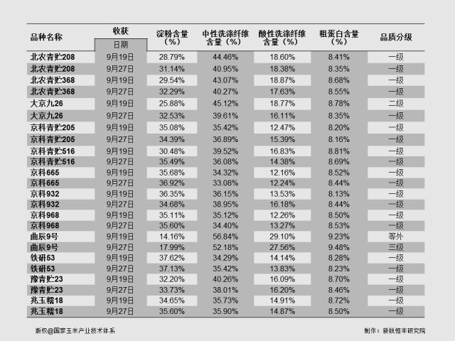 专家预测宁夏玉米行情走势_玉米行情最新预测走势