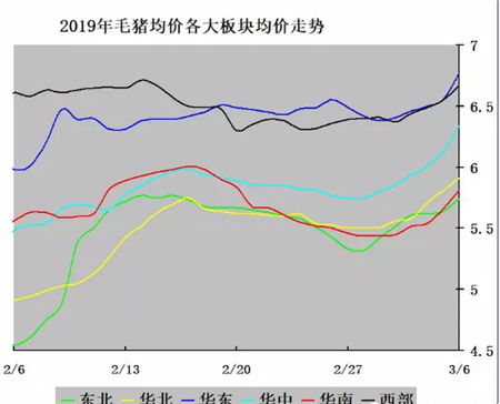 济宁毛猪价格行情走势_济宁毛猪今日一斤多少钱