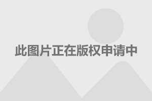 上海房价10年走势图_上海房价10年走势图最新消息