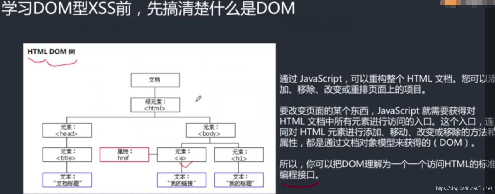 xss脱裤_wscqrl照片