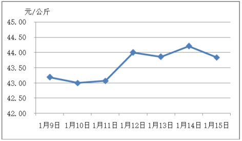 2021年下半年羊价格走势_2021年后半年羊价