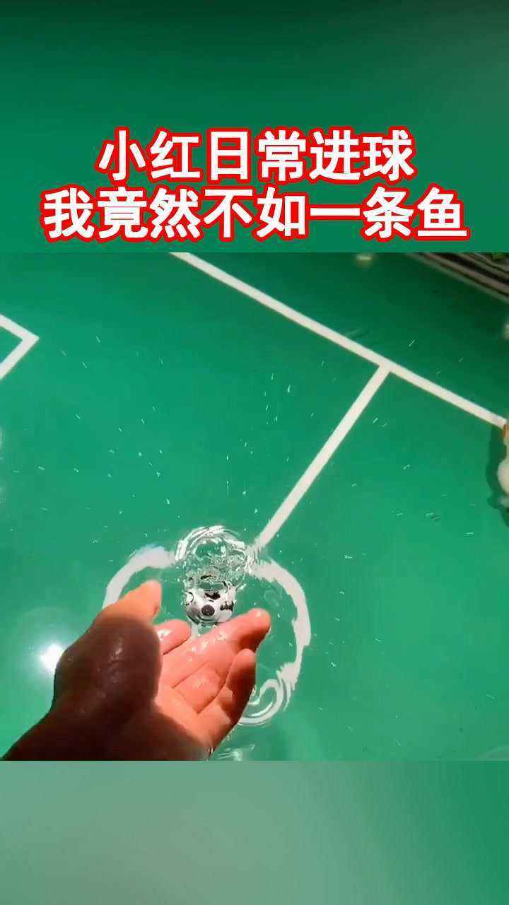 鱼踢足球_足球鱼跃扑球