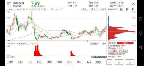 关于诊断一下黑猫股份走势的信息