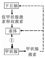 0100391今天的走势_010041今天的走势怎么样