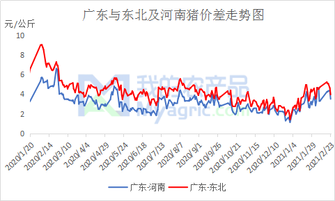 今日山东生猪价格走势_今日山东生猪价格走势分析