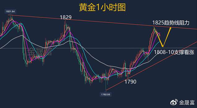 黄金整体走势进一步延续上涨_黄金整体走势进一步延续上涨说明什么