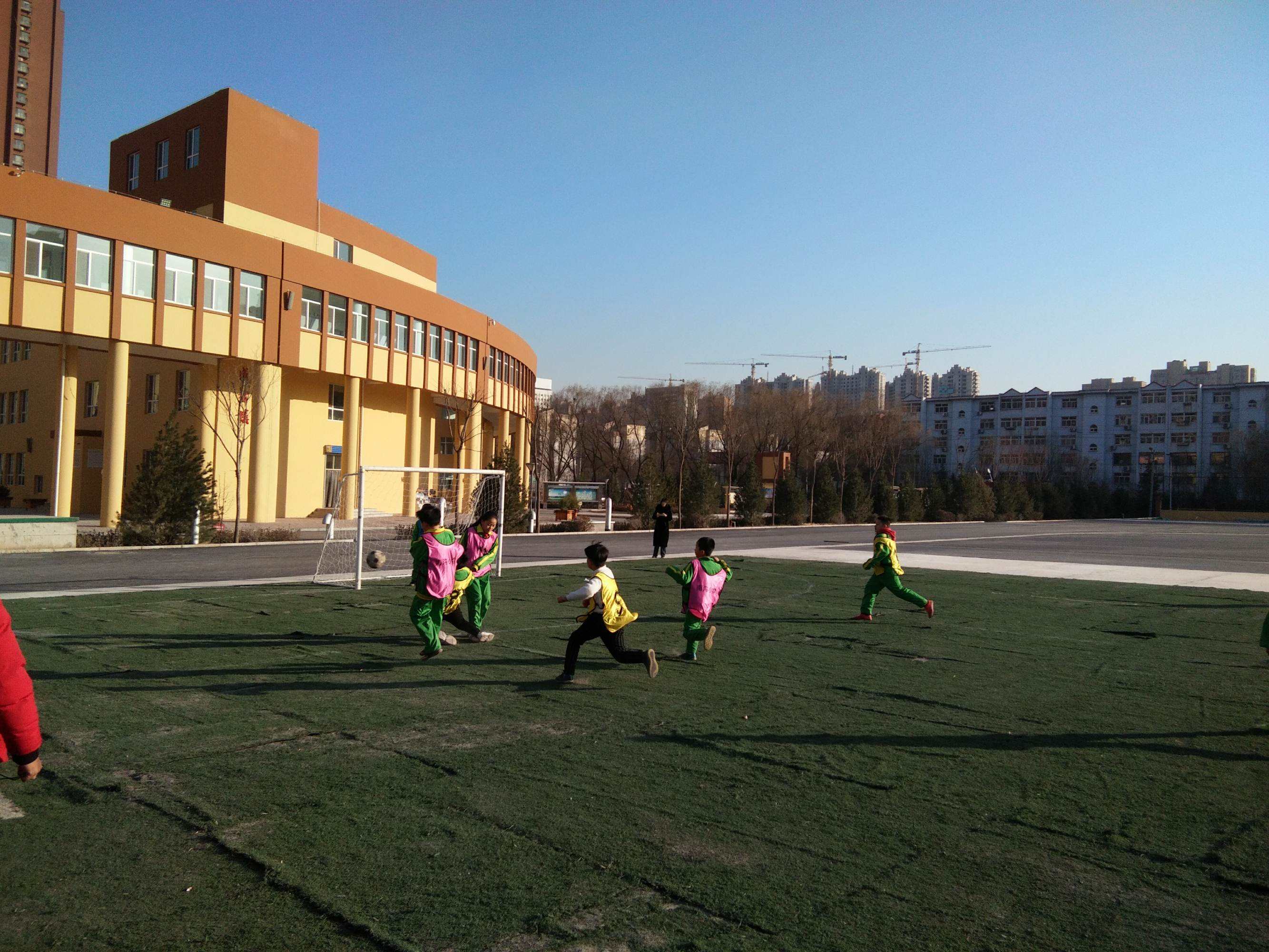 丽苑小学足球_美苑小学足球队