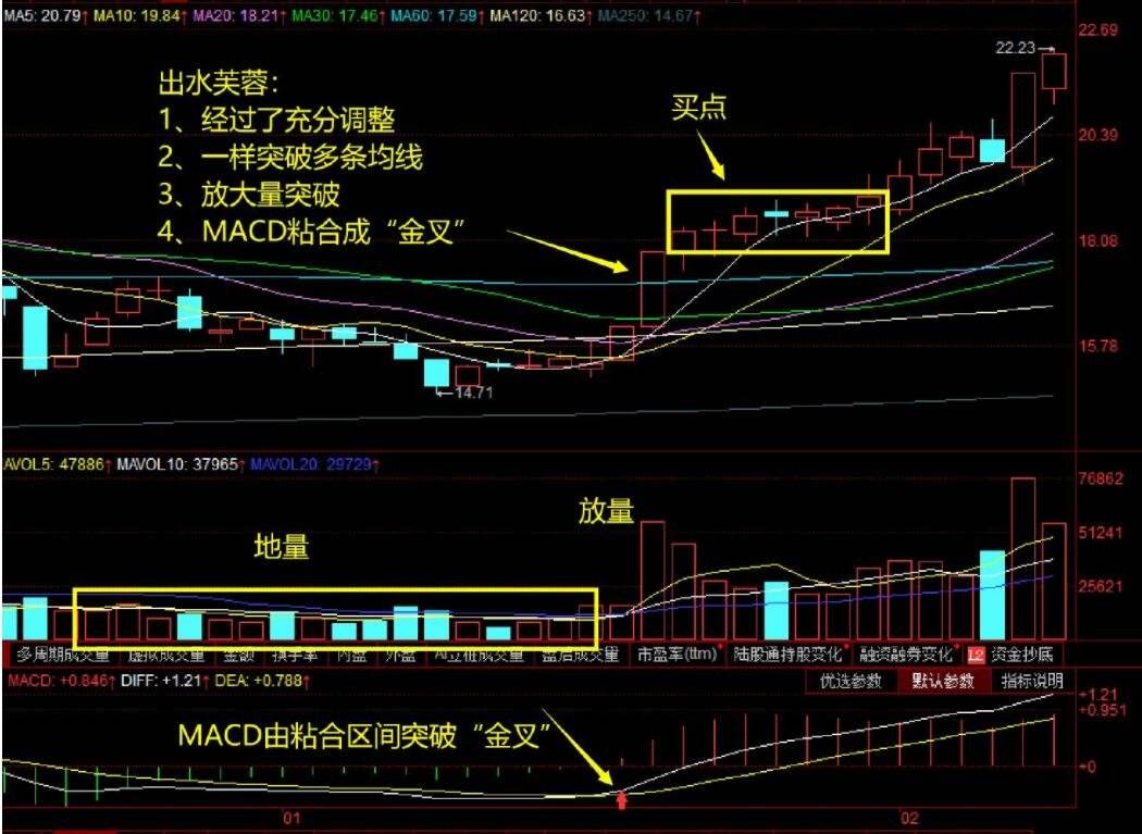 601369股票一年走势_601369股票一年走势如何