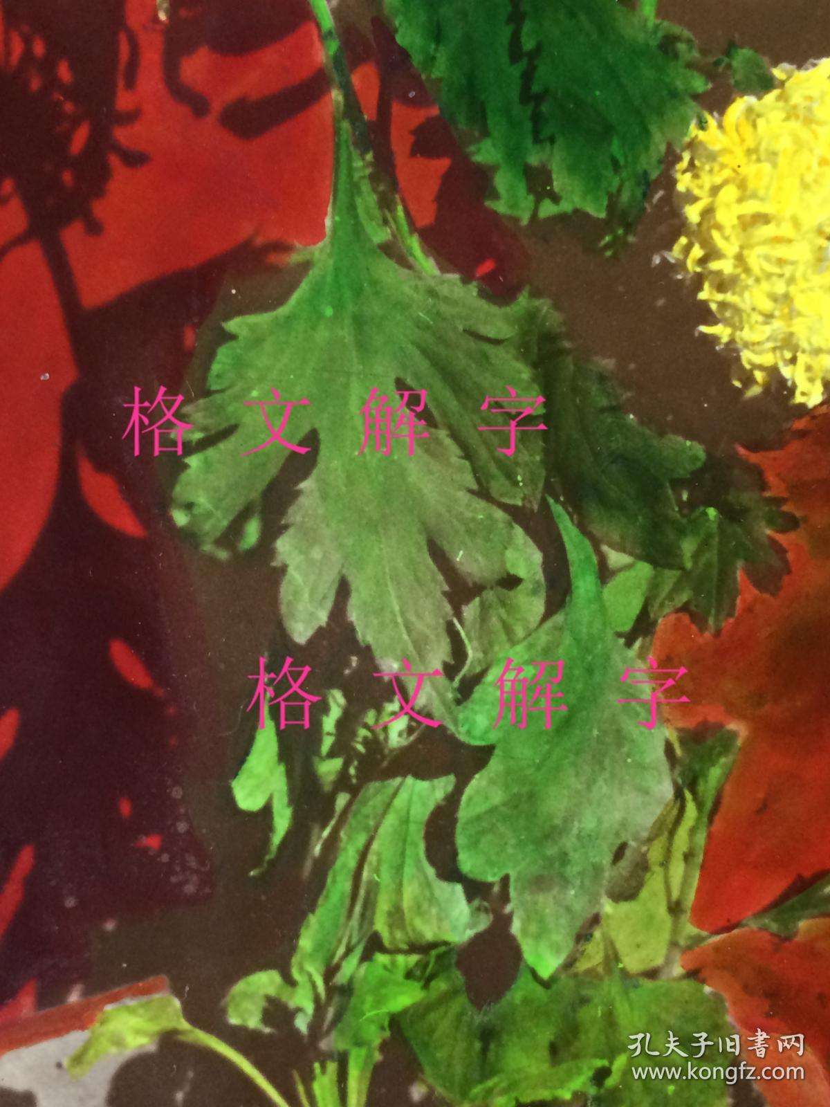 摄影艺术品的走势分析_摄影艺术品的走势分析图