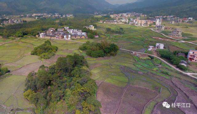 蔡屋村足球_谢村足球场