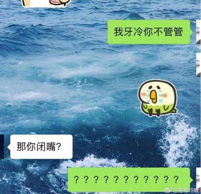 全娱乐都求我闭嘴txt_全娱乐圈都在求我闭嘴